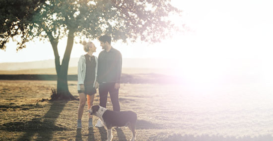 Corinium Pet Insurance