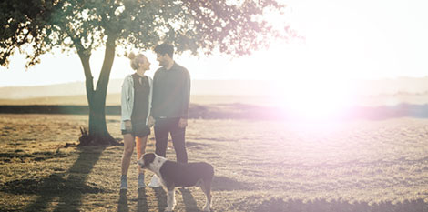 Corinium Pet Insurance